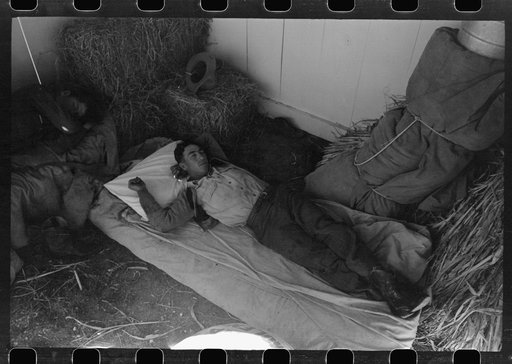 Untitled photo, possibly related to: Cowboys asleep in horse show barn at San Angelo Fat Stock Show, San Angelo, Texas