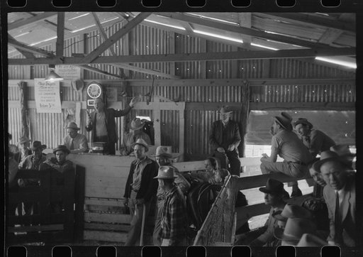 Untitled photo, possibly related to: Auctioning a horse at west Texas stockyards, San Angelo, Texas