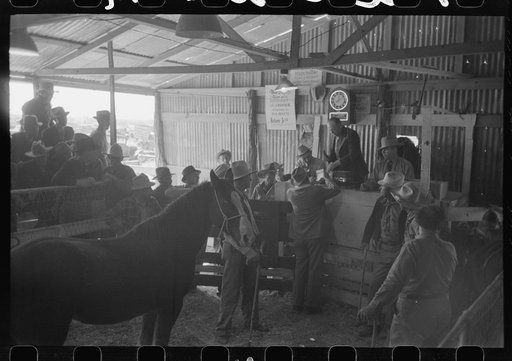 Untitled photo, possibly related to: Auctioning a horse at west Texas stockyards, San Angelo, Texas