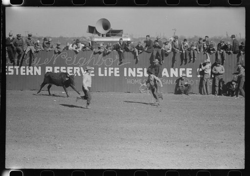 Rodeo scene at the San Angelo Fat Stock Show, San Angelo, Texas