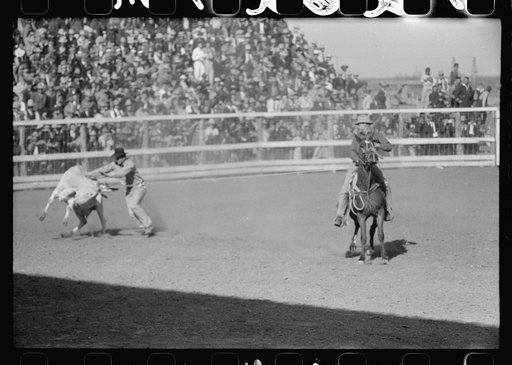 Untitled photo, possibly related to: Rodeo scene at the San Angelo Fat Stock Show, San Angelo, Texas