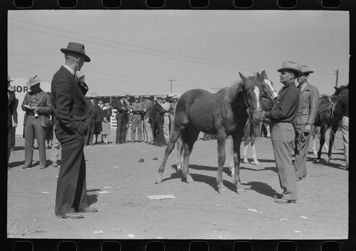 Untitled photo, possibly related to: West Texan and his horse which he is displaying in show ring at the San Angelo Fat Stock Show, San Angelo, Texas