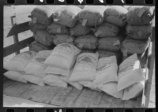 Stock salt and cotton seed meal on truck at warehouse of Kimble County, wool and mohair company. Junction, Texas