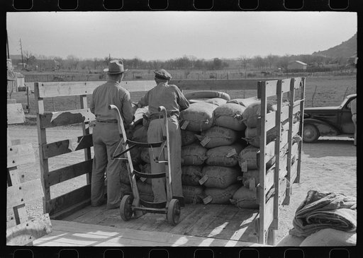 Untitled photo, possibly related to: Stock salt and cotton seed meal on truck at warehouse of Kimble County, wool and mohair company. Junction, Texas