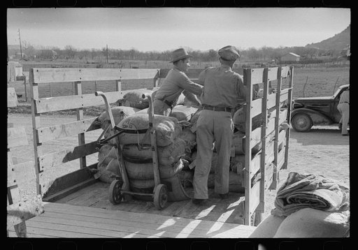 Untitled photo, possibly related to: Stock salt and cotton seed meal on truck at warehouse of Kimble County, wool and mohair company. Junction, Texas