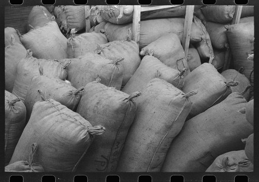 Sacks of mohair in storage at the warehouse of the Kimble Wool and Mohair Company, Junction, Texas