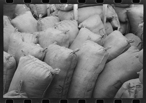 Untitled photo, possibly related to: Sacks of mohair in storage at the warehouse of the Kimble Wool and Mohair Company, Junction, Texas