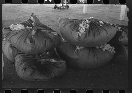 Untitled photo, possibly related to: Bundles of scored wool at wool scouring plant at San Marcos, Texas