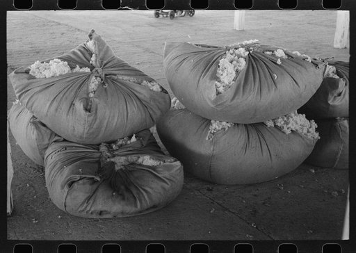 Bundles of scored wool at wool scouring plant at San Marcos, Texas