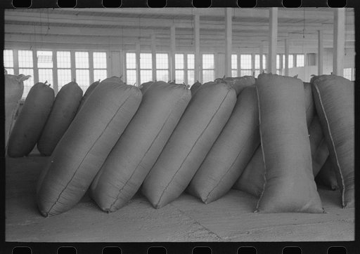 Sacks of wool in storage at wool scouring plant at San Marcos, Texas