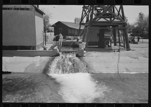 Woman washing clothes at deep well which also feeds the irrigation ditch, Maricopa County, Arizona. This water comes out of the ground hot enough for laundry purposes