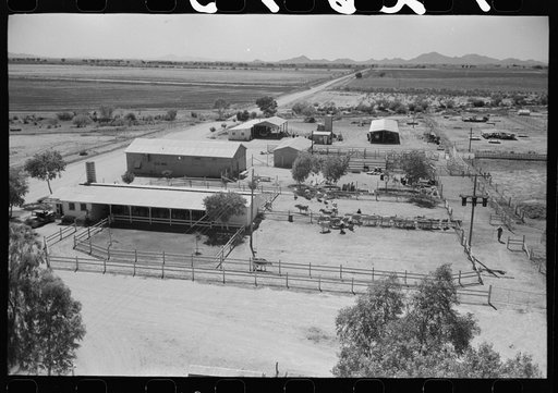 General view of dairy, office building and dairy stock pens at Casa Grande Valley Farms, Pinal County, Arizona