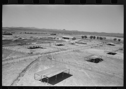 Dairy cattle shelters at the Casa Grande Valley Farms, Pinal County, Arizona