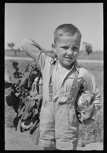 Little boy with sack of vegetables from the community garden at the Casa Grande Valley Farms, Pinal County, Arizona