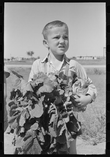 Little boy with sack of vegetables from the community garden at the Casa Grande Valley Farms, Pinal County, Arizona