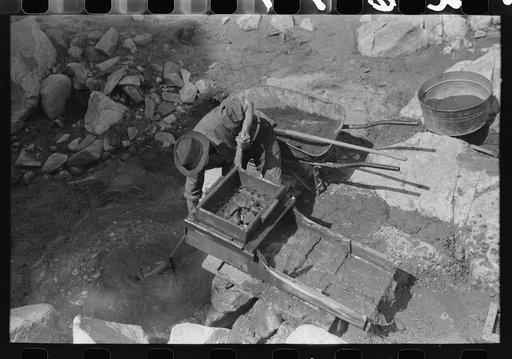 Eugene Davis, gold prospector, operating "rocker". Rocks and sticks remain in the screened box at the top when water is sluiced over them and the contraption is rocked by the handle. Loose dirt and any mineral content washes below, the dirt gradually washing through and the heavy gold and minerals s