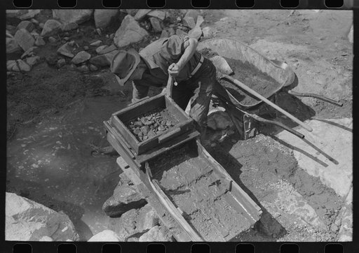 Untitled photo, possibly related to: Eugene Davis, gold prospector, operating "rocker". Rocks and sticks remain in the screened box at the top when water is sluiced over them and the contraption is rocked by the handle. Loose dirt and any mineral content washes below, the dirt gradually washing thro