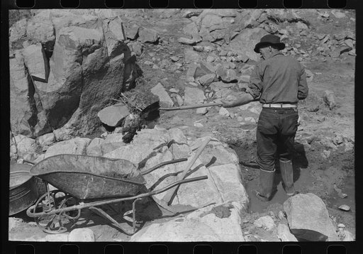 Gold prospector shoveling dirt and rocks into wheel barrow. He will run this through the dry washer called a "papago" of old Indian design.  Pinos Altos, New Mexico
