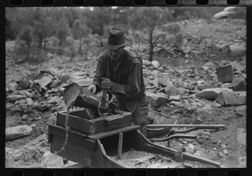 Gold prospector pouring water into "rocker," Pinos Altos, New Mexico
