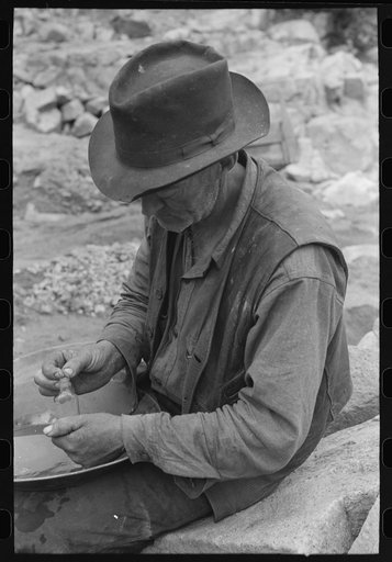 Gold prospector putting flakes of gold which he has recovered through wet washing and panning into bottle. Pinos Altos, New Mexico