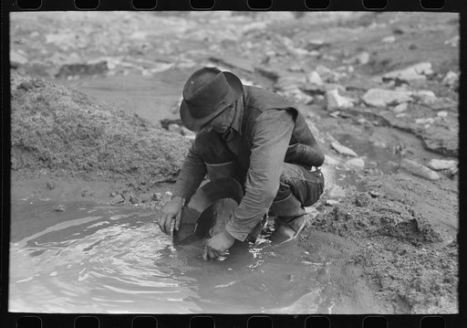 Untitled photo, possibly related to: Prospector panning gold. The light objects are probably not gold as it is very unusual to find pieces this large in this section. They are probably mica (fools gold) or mercury which is used to attract the gold. Pinos Altos, New Mexico