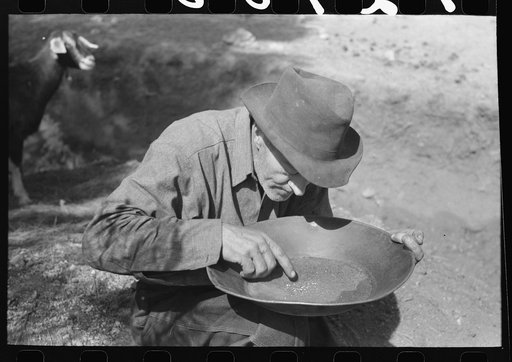 Untitled photo, possibly related to: Prospector blowing on pan of fine dirt which contains particles of gold in order to blow the dirt away and leave the heavy gold. In this dry panning the pan is rotated until the dirt is on one side and then with a decisive toss it is thrown into the air, the ligh