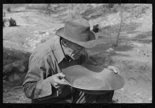Prospector blowing on pan of fine dirt which contains particles of gold in order to blow the dirt away and leave the heavy gold. In this dry panning the pan is rotated until the dirt is on one side and then with a decisive toss it is thrown into the air, the light dirt being then blown away by the w