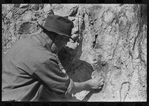 Prospector taking a sample of dirt from creek bed which contains scattered gold. Pinos Altos, New Mexico
