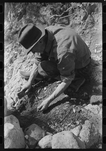 Prospector taking a sample of dirt from creek bed which contains scattered gold. Pinos Altos, New Mexico
