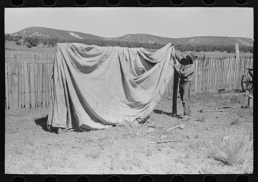 Faro Caudill putting up tent in which his family will live while dugout is being rebuilt nearer well. Pie Town, New Mexico