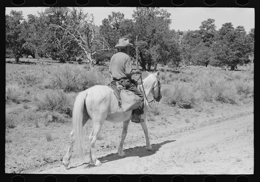 Untitled photo, possibly related to: Homesteader returning home from trip to town, Pie Town, New Mexico