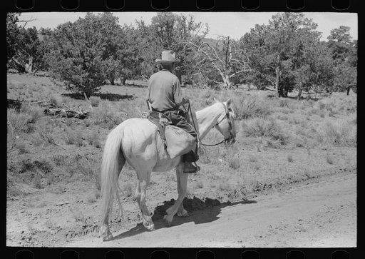 Homesteader returning home from trip to town, Pie Town, New Mexico
