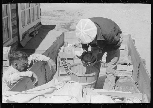 Mr. Keele examining wares of fruit and vegetables trucker. Pie Town, New Mexico