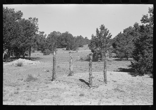 Grave in mountain cemetery. Pie Town, New Mexico