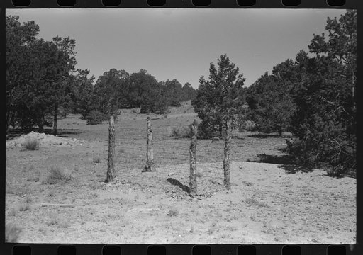 Grave in mountain cemetery, Pie Town, New Mexico