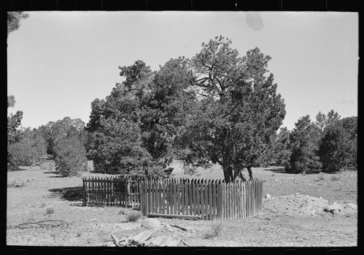 Graves in mountain cemetery. Pie Town, New Mexico