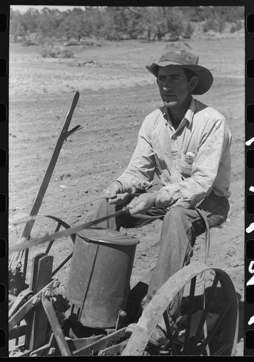 Faro Caudill planting beans, Pie Town, New Mexico
