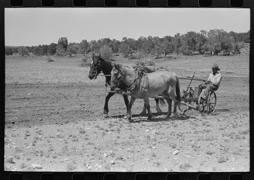 Untitled photo, possibly related to: Faro Caudill planting beans, Pie Town, New Mexico