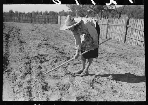 Doris Caudill working in her garden, Pie Town, New Mexico