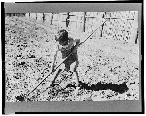 Josie Caudill helping set out cabbage plants, Pie Town, New Mexico