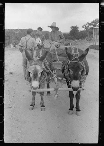 Mr. Leatherman and his children and his burro-drawn cart. The man talking to Mr. Leatherman is a tie cutting contractor and wants Leatherman to use his burros to drag ties down from the mountains. Leatherman refused because while he could use the cash he wanted to terrace his farmland. Pie Town, New
