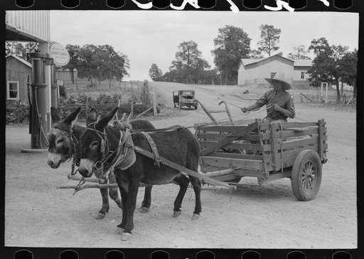 Untitled photo, possibly related to: Mr. Leatherman starting for home in his burro-drawn cart. The handles of the cart belong to a homemade terracing implement belonging to Mr. Craig who loaned it to Leatherman to do his terracing. Pie Town, New Mexico