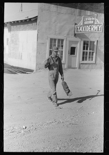 Untitled photo, possibly related to: Jack Whinery and his daughter covering up beans. Whinery homesteaded with no cash less than a year ago and does not have much equipment; consequently he and his family farm the slow, hard way, by hand. Pie Town, New Mexico