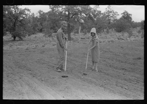 Untitled photo, possibly related to: Jack Whinery and his daughter covering up beans. Whinery homesteaded with no cash less than a year ago and does not have much equipment; consequently he and his family farm the slow, hard way, by hand. Pie Town, New Mexico