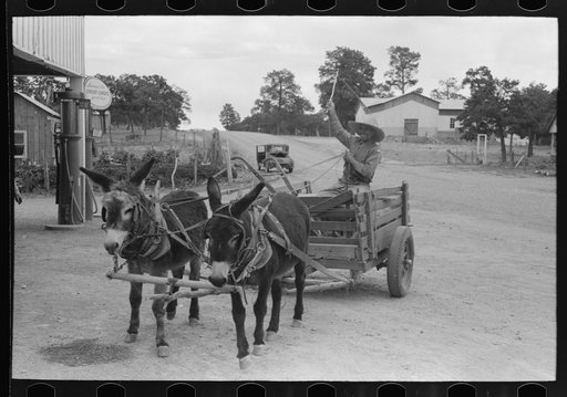 Mr. Leatherman drives his burro-drawn cart up to the filling station to get air in the rubber tires. Pie Town, New Mexico