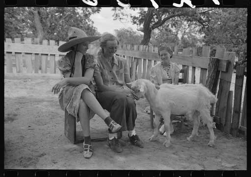 Untitled photo, possibly related to: Group of farmers, homesteaders, and their families visiting all day Sunday to celebrate a birthday. Pie Town, New Mexico