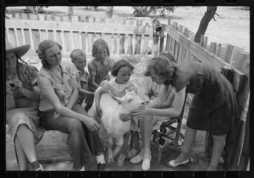Untitled photo, possibly related to: Group of farmers, homesteaders, and their families visiting all day Sunday to celebrate a birthday. Pie Town, New Mexico