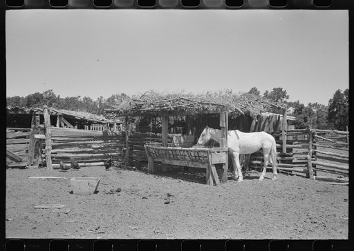 Untitled photo, possibly related to: Horse lot on homesteader's farm. Pie Town, New Mexico