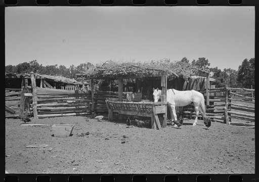 Horse lot on homesteader's farm. Pie Town, New Mexico