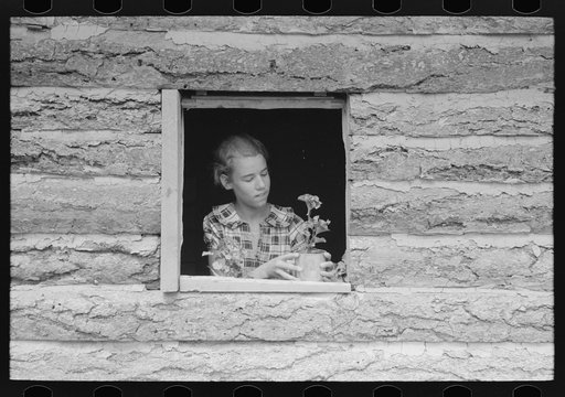Jack Whinery's daughter setting pot plant in window. This is the window in the aboveground slab room. Pie Town, New Mexico